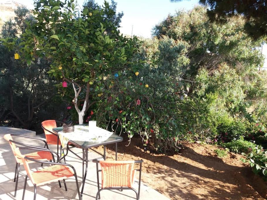 Grandpa Simos' Traditional Guest House Agios Romanos Ngoại thất bức ảnh