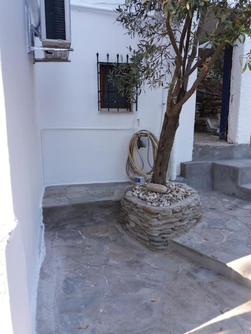 Grandpa Simos' Traditional Guest House Agios Romanos Ngoại thất bức ảnh