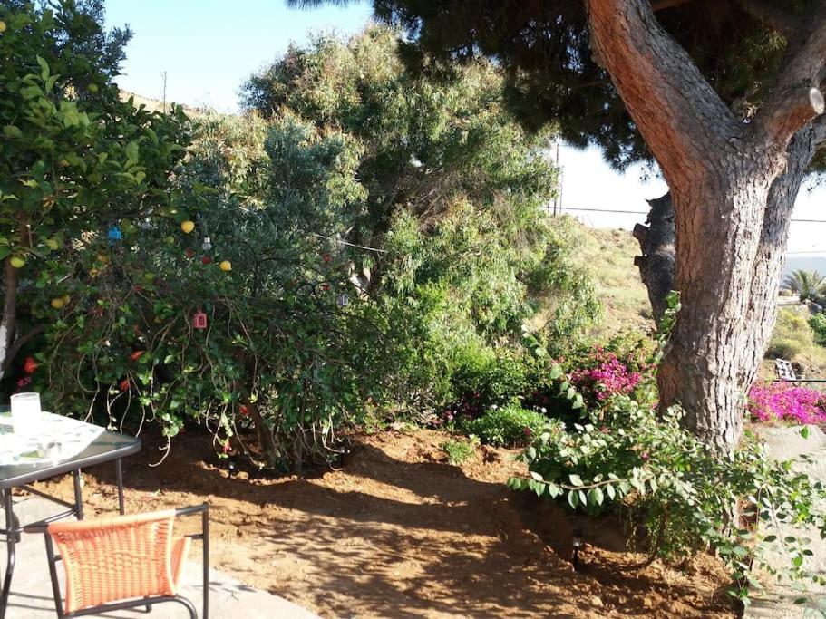 Grandpa Simos' Traditional Guest House Agios Romanos Ngoại thất bức ảnh