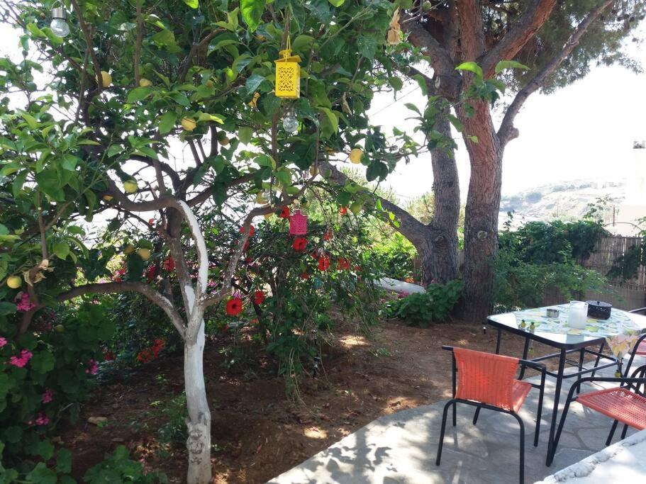 Grandpa Simos' Traditional Guest House Agios Romanos Ngoại thất bức ảnh