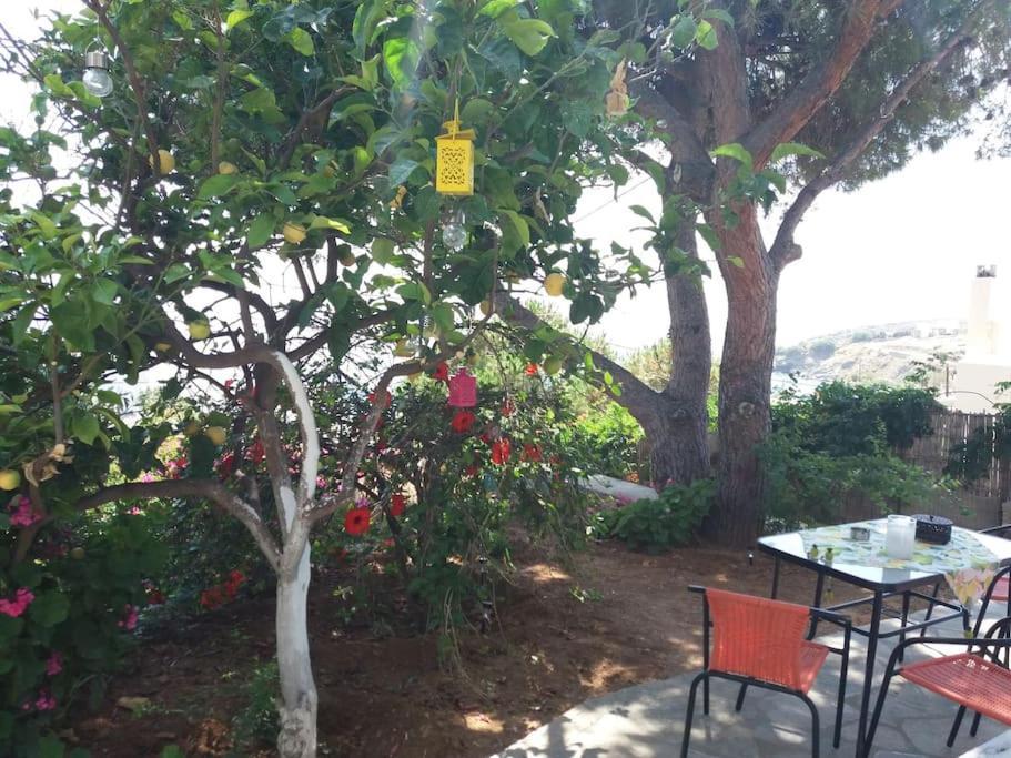 Grandpa Simos' Traditional Guest House Agios Romanos Ngoại thất bức ảnh