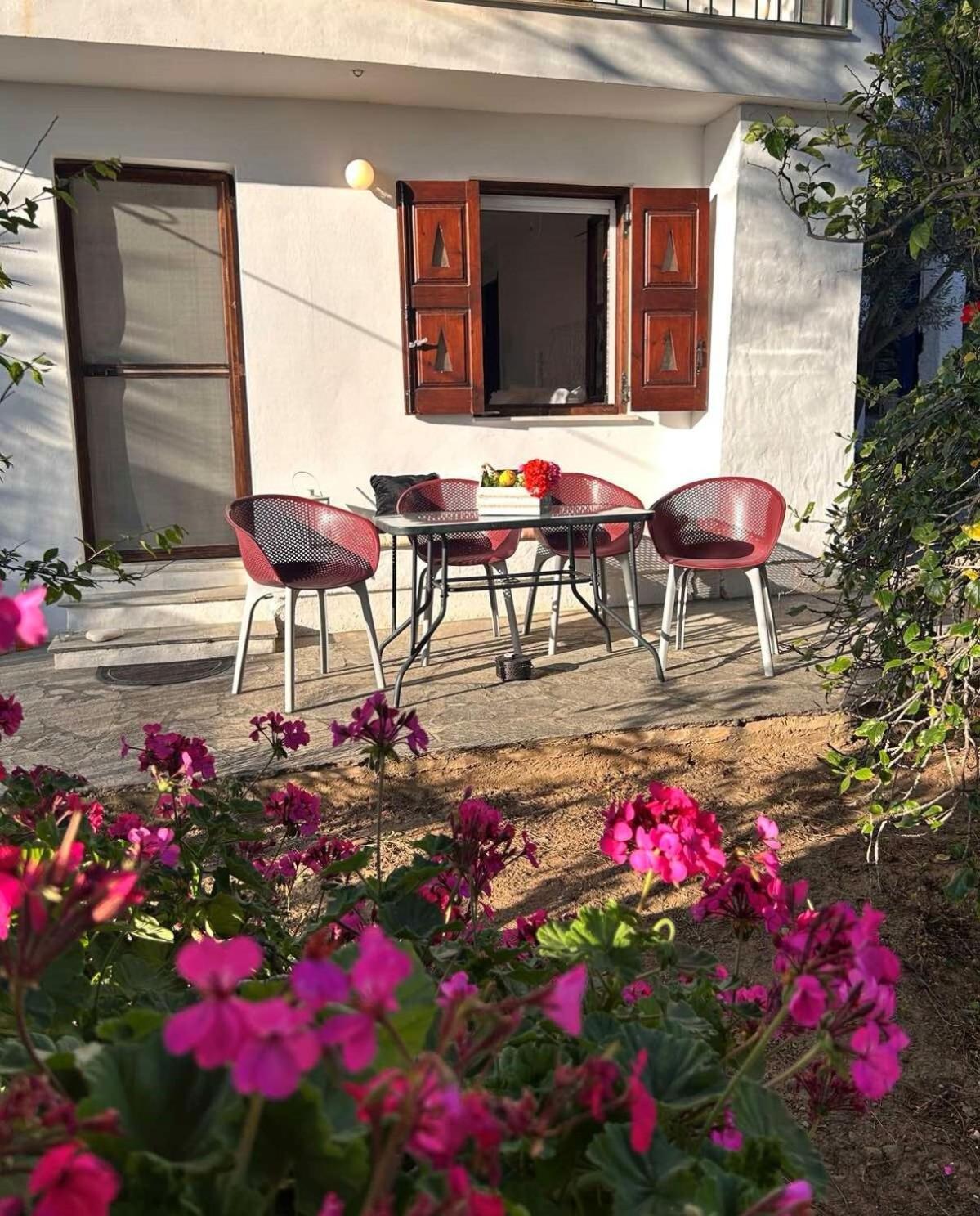 Grandpa Simos' Traditional Guest House Agios Romanos Ngoại thất bức ảnh