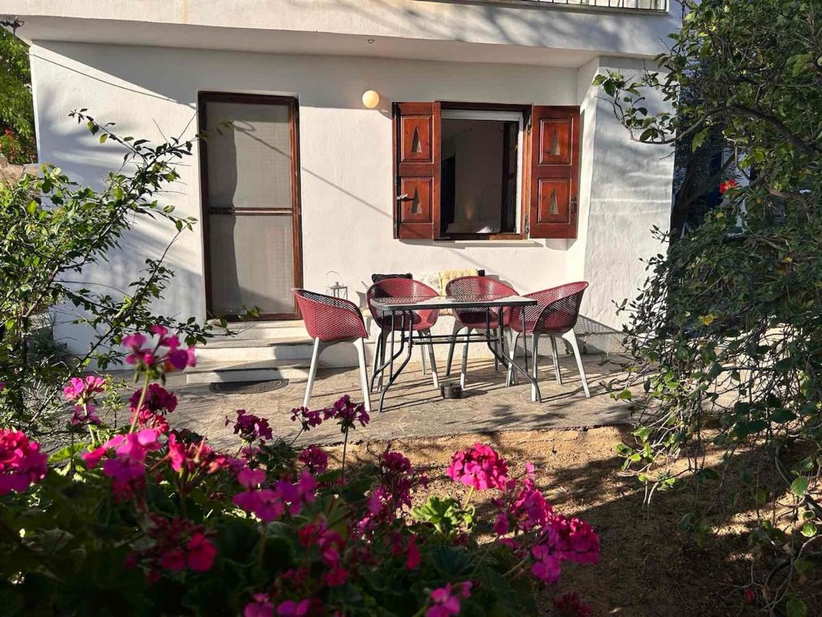 Grandpa Simos' Traditional Guest House Agios Romanos Ngoại thất bức ảnh