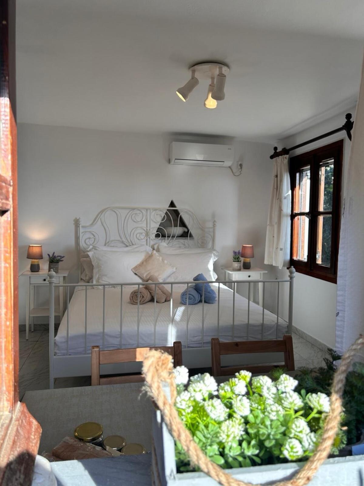 Grandpa Simos' Traditional Guest House Agios Romanos Ngoại thất bức ảnh