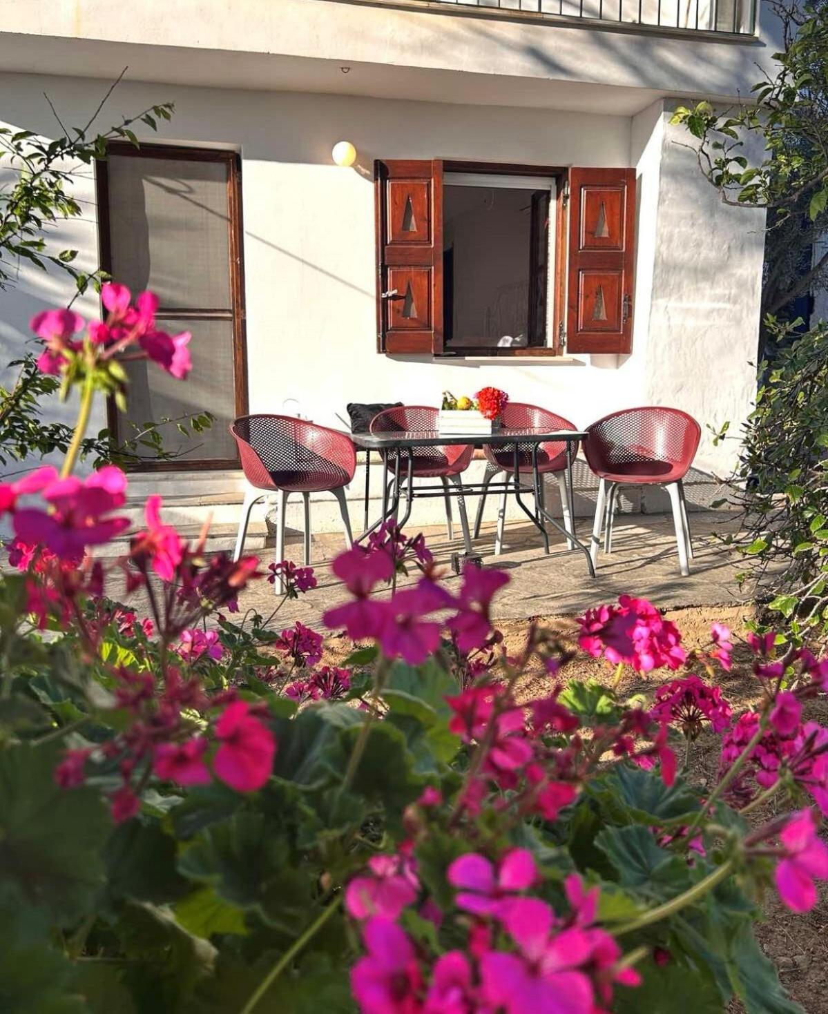 Grandpa Simos' Traditional Guest House Agios Romanos Ngoại thất bức ảnh
