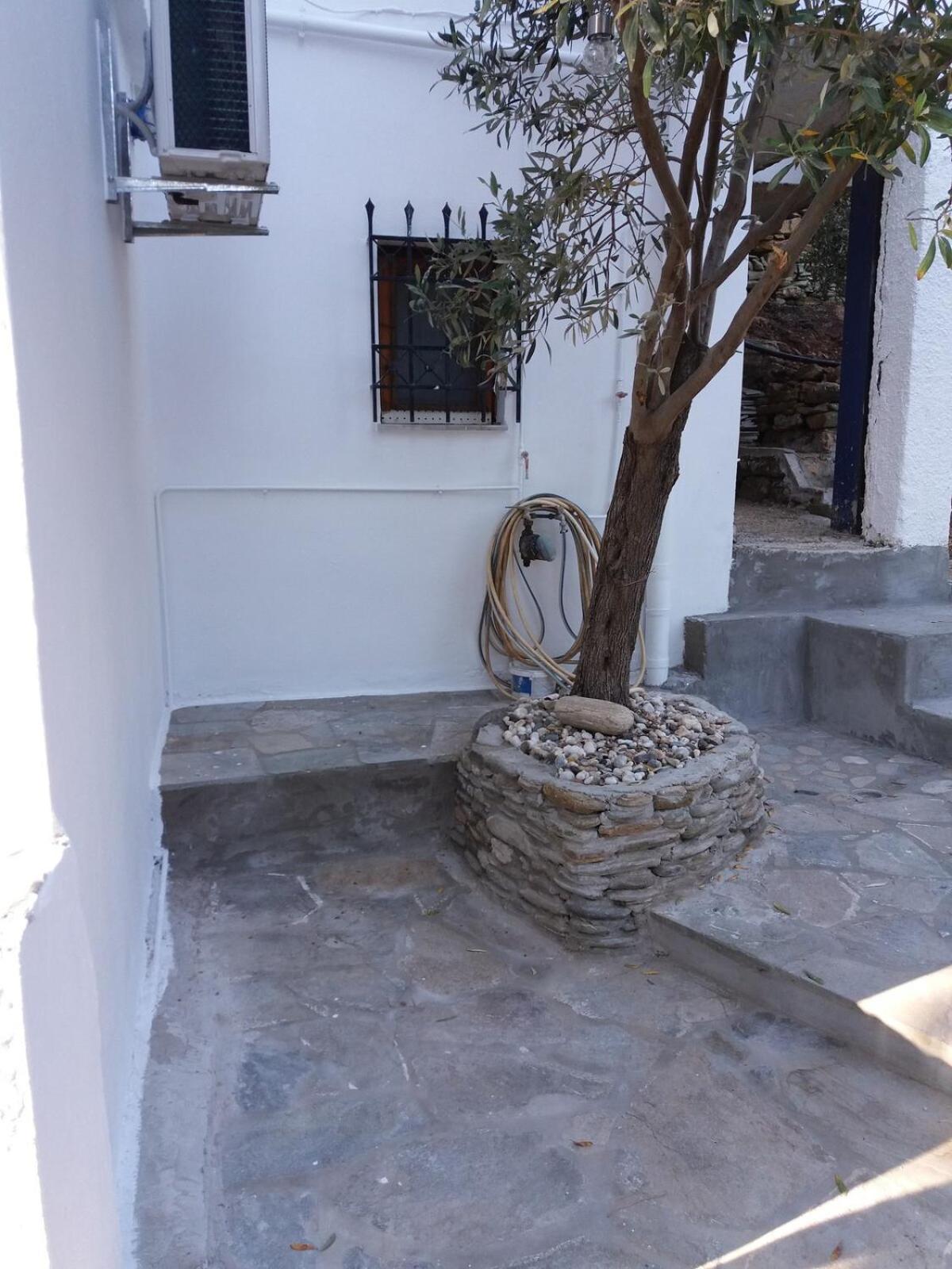 Grandpa Simos' Traditional Guest House Agios Romanos Ngoại thất bức ảnh